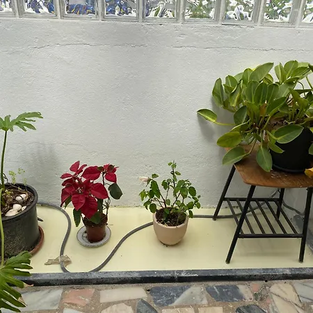 Foz Surfcamp 게스트하우스