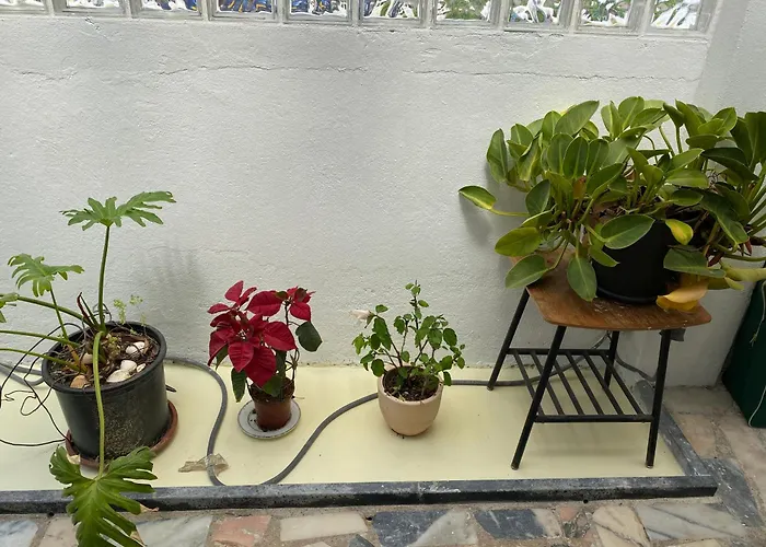 Foz Surfcamp Maison d'hôtes